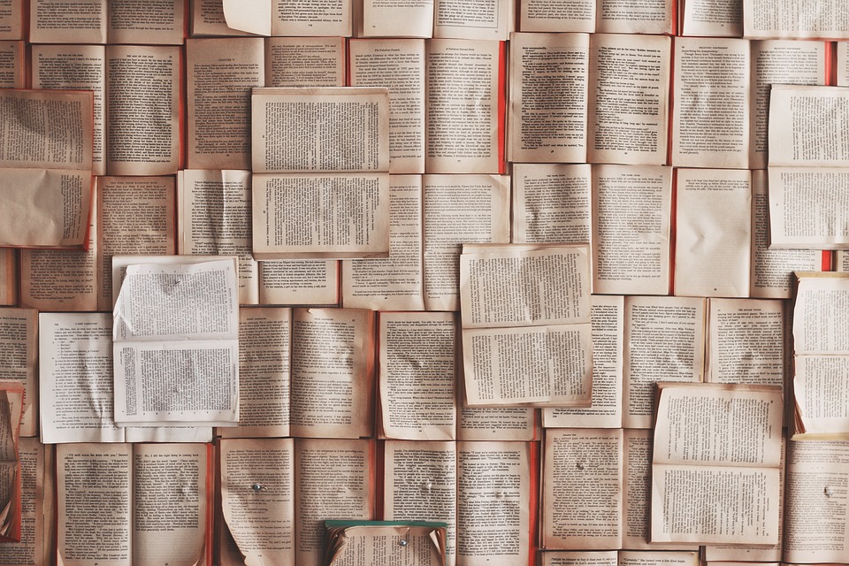 Fonte: https://pixabay.com/pt